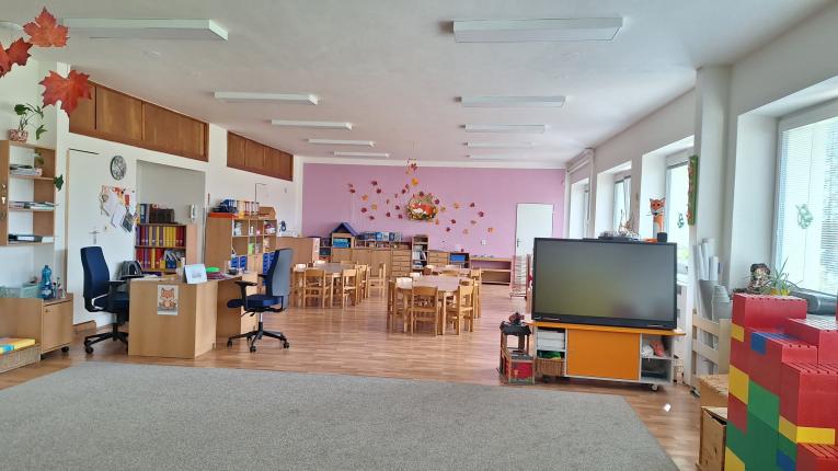 lišky lišky